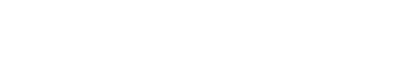 audi-partner-program-logo-transparent